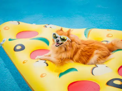 Pool Float Race